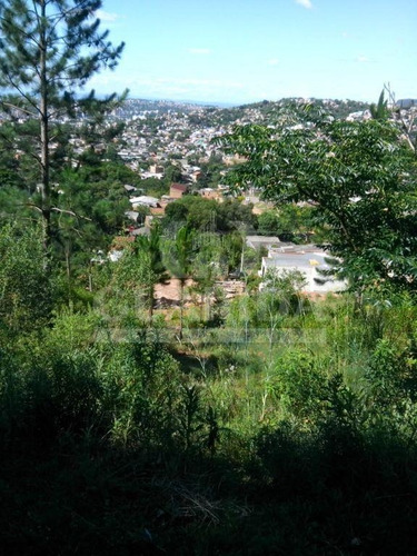 Imagem 10 de 10 de Terreno - Coronel Aparicio Borges - Ref: 38025 - V-38025