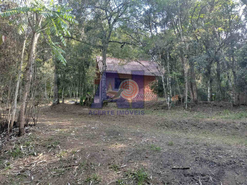 Imagem 4 de 10 de Chácara À Venda Na Avenquinha - Campo Alegre/sc - 106