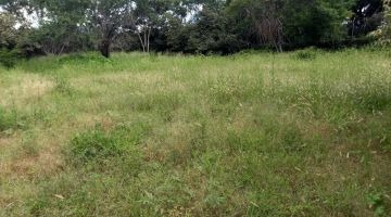 Imagen 4 de 11 de Terreno Campestre En Centro Jiutepec, Jiutepec, Morelos