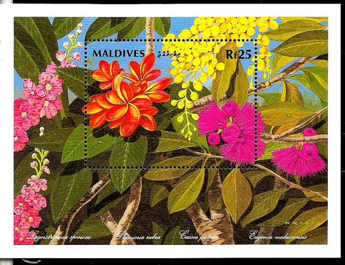 #8292 Maldives 1992 Flora Flores   S/s Yv Bl 215 Mnh