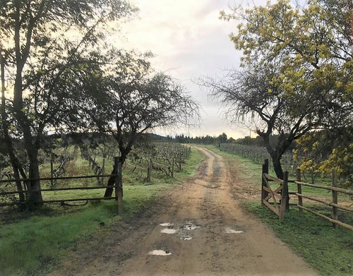 Cauquenes Viñas Y Forestal, 2 Tranques (70047)