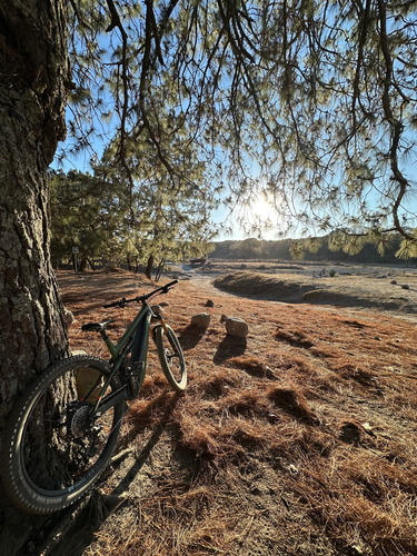 E-bike Pivot Pivot Shuttle Am