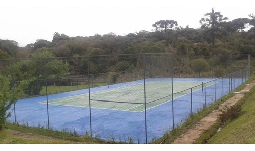 Imagem 4 de 11 de Terreno Para Venda Em São Francisco De Paula, Centro - Cwvt0230_2-1483305