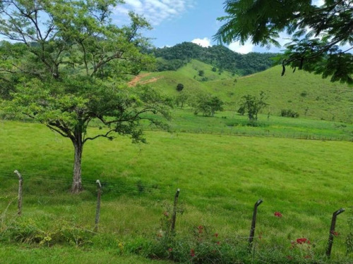 Fazenda À Venda Em Registro - Fa00123 - 69026892