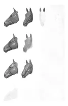 Comprar Cabezas De Caballo: Arte Y Creatividad En Cada Pieza