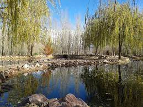 Venta Lote Uspallata Mendoza Los Cuatro Elementos.