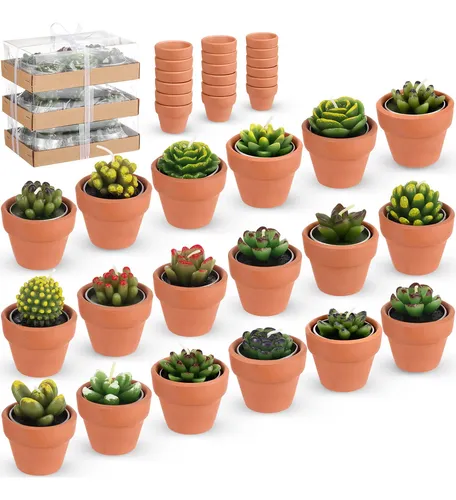 comprar 18 Velas De T De Cactus Suculentas, Hechas A Mano, Velas De