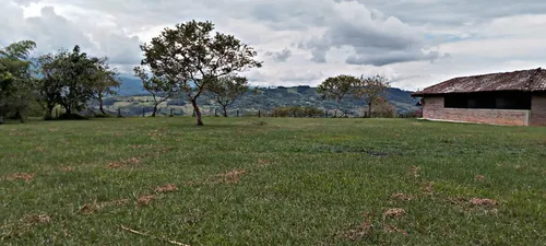 Calima, 10.000 M2, Lote En Venta