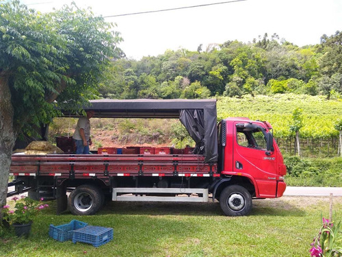 Mercedes Benz Accelo 915 C