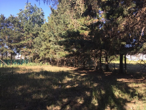 Imagen 2 de 3 de Lote De 950 M2 Excelente Zona