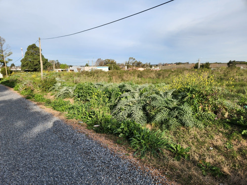 Terreno