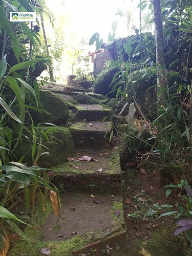 Imagem 18 de 30 de Chácara À Venda No Bairro Rio Sagrado - Morretes/pr - 276