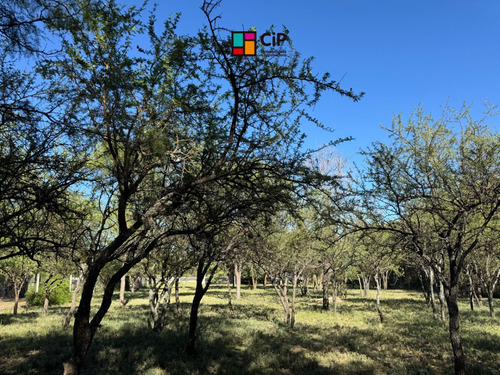 Venta De Lotes Sobre Ruta 1, Los Molles
