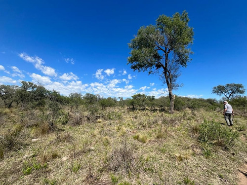 Venta Campo Villa Quillinzo (40 Hectareas) Ideal Para Loteo