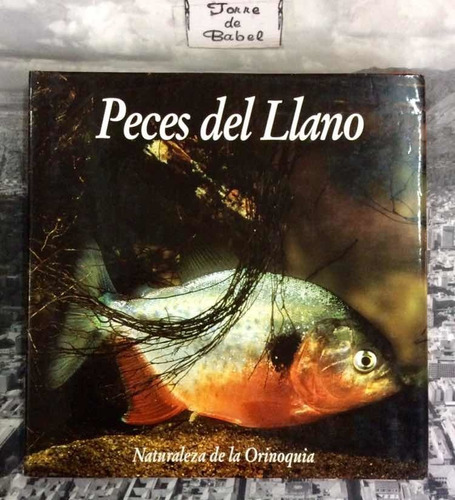 Peces Del Llano - Naturaleza Orinoquia