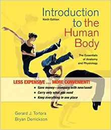 Introduction To The Human Body