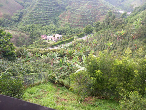 Venta Lote San Peregrino Via La Manuela, Manizales