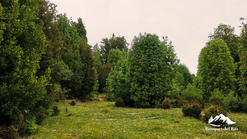 3mm De Pie Venta Parcela Colonia RÃo Sur - Puerto Varas