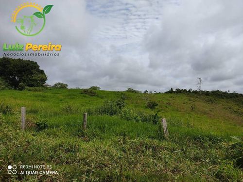 Imagem 1 de 15 de Fazenda À Venda Em Jacunda - Pa - 1.258,4 Hectares (dupla Aptidão) - 2032