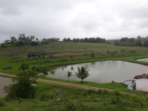 Imagem 5 de 14 de Magnífica Fazenda Em Pariquera-açu Medindo 58 Alqueires