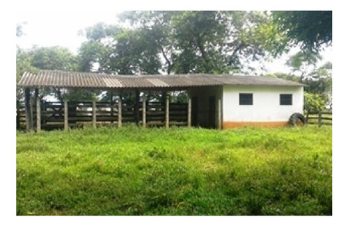 Imagen 15 de 23 de Vendo Hacienda De 990 Hectáreas En Puerto Gaitán En El Meta