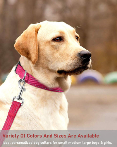 Collar Para Perros Con Hebilla Ajustable De Nailon Reflectan