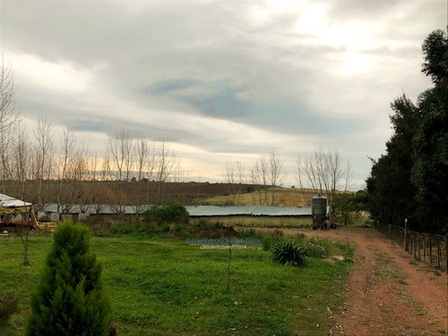 Venta De Granja En Melilla Con Cuatro Casas.