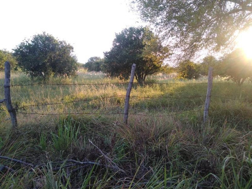 Imagen 7 de 8 de Quinta En Venta En Atongo De Allende
