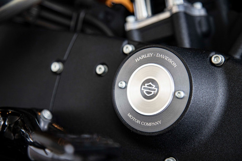 Imagen 15 de 15 de Harley Davidson Iron 883 Roshaus Motorrad Permutas !!!!