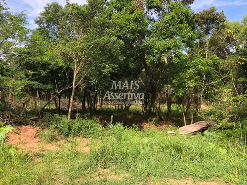 Imagem 7 de 15 de Chácara Para Venda Em Novo Hamburgo, Lomba Grande - 113128-cw_2-1345916