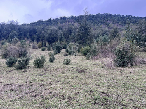 Campo  Con Hermosa Vista Al Lago Ranco.