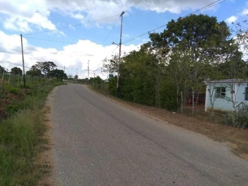 Imagen 3 de 30 de Jose Lopez Ofrece Finca ( Granja Avícola / Agrícola ) En Venta Vía A Duaca Caserio Guayabal Cordero Lara, Venezuela ,j G L Rent - A - House Telf. 0414-5533925 Cod # 22-16836 $ 15000