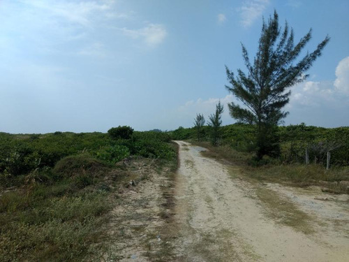 Venta Rancho 150 Hectareas Frente Laguna Tamiahua Veracruz