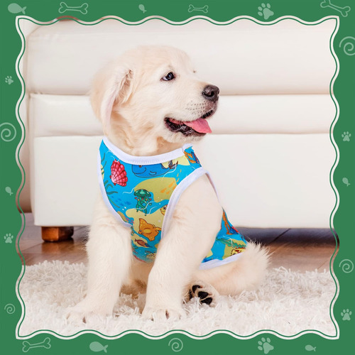 Saintrygo 10 Pcs Adorável Camisas De Cachorrinho Roupas De C