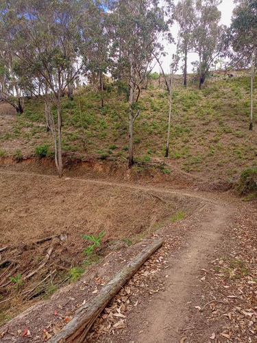 Imagen 13 de 13 de Best House Vende Increíble Terreno En Loma De Urquía En Los Altos Mirandinos