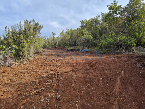 Tranquila Parcela 0,5ha Tranquilidad (92297)