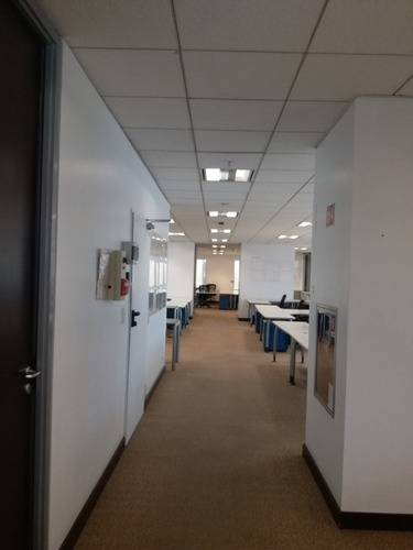 Imagen 6 de 12 de Oficinas Alquiler | San Martín 344 Caba | 14° Y 16° 1416 M²