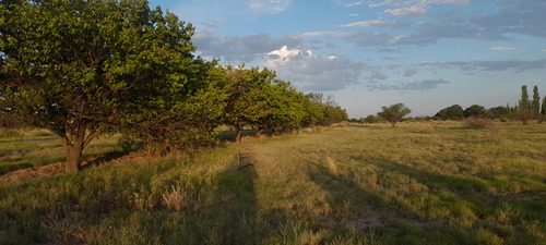 Finca 12.5 Ha. Gral. Alvear Mza. Financio. Tomo Vehículo.