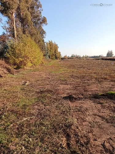 Terreno En Venta En Teno