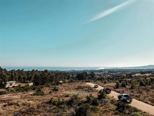 Terreno De 5.000m2 En Pangal, Con Vista Ak Mar Urbanizado