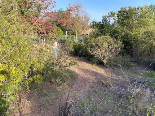 Espectacular Terreno Plano En Sector Muy Tranquilo