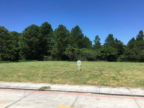 Imagem 12 de 12 de Terreno Em São João Do Rio Vermelho, Florianópolis/sc De 418m² À Venda Por R$ 330.000,00 - Te1973518-s