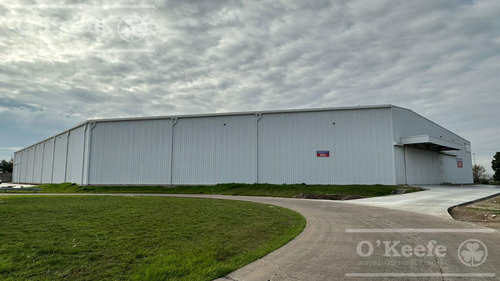 Depósito A Estrenar En Alquiler Con Amplia Playa De Maniobras En La Plata - 8320m2 - Zona Sur