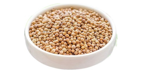 Semilla De Cilantro 1000 Gramos