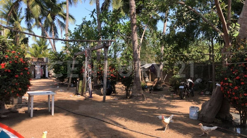 Imagen 10 de 16 de Terreno En Venta, La Huerta, Punta Pérula, Jalisco