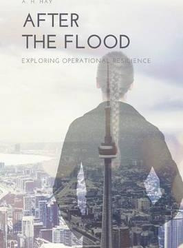 Libro After The Flood - A H Hay
