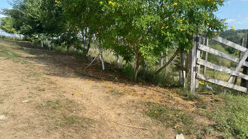 Finca En Venta En Salitral