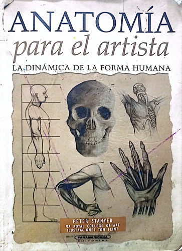Anatomía Para El Artista La Dinámica De La Forma Humana