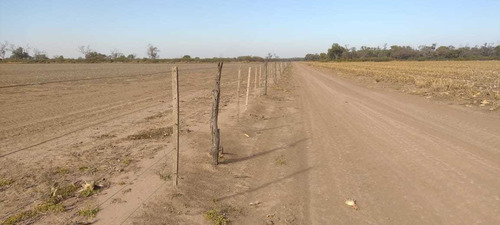 Imagen 7 de 14 de Sachayoj Campo Agrícola 1450 Hectáreas - Tope Gama