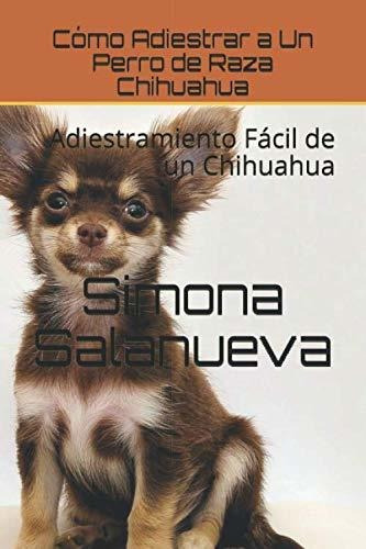 Cómo Adiestrar A Un Perro De Raza Chihuahua: Adiestramiento